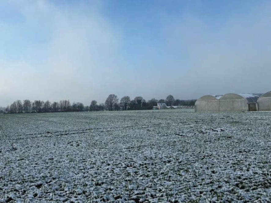 land- und forstwirtschaftlich genutztes Grundstück in , 47574 Goch, Nierswalde - Bild 5