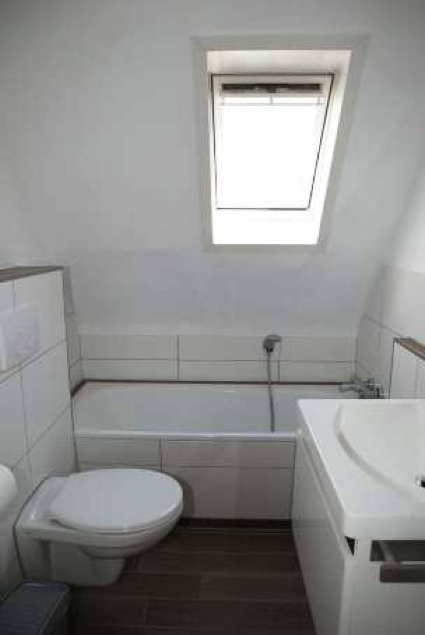 nordrheinwestpfalen 0027K0024-2023 Im Westerfeld 3, 46459 Rees, Bienen 15