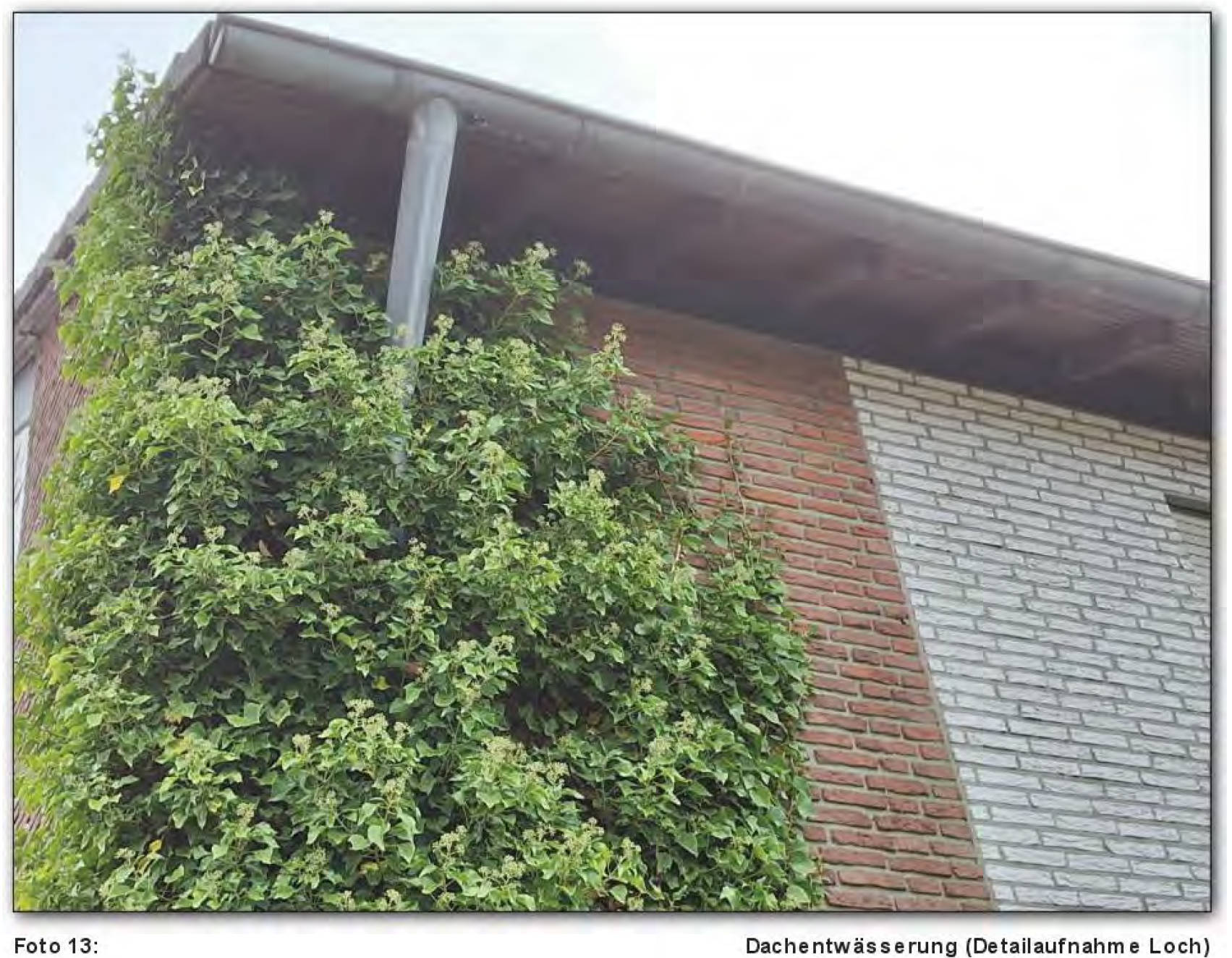 Garage, Einfamilienhaus in Jenaer Straße 3, 47533 Kleve, Materborn - Bild 3