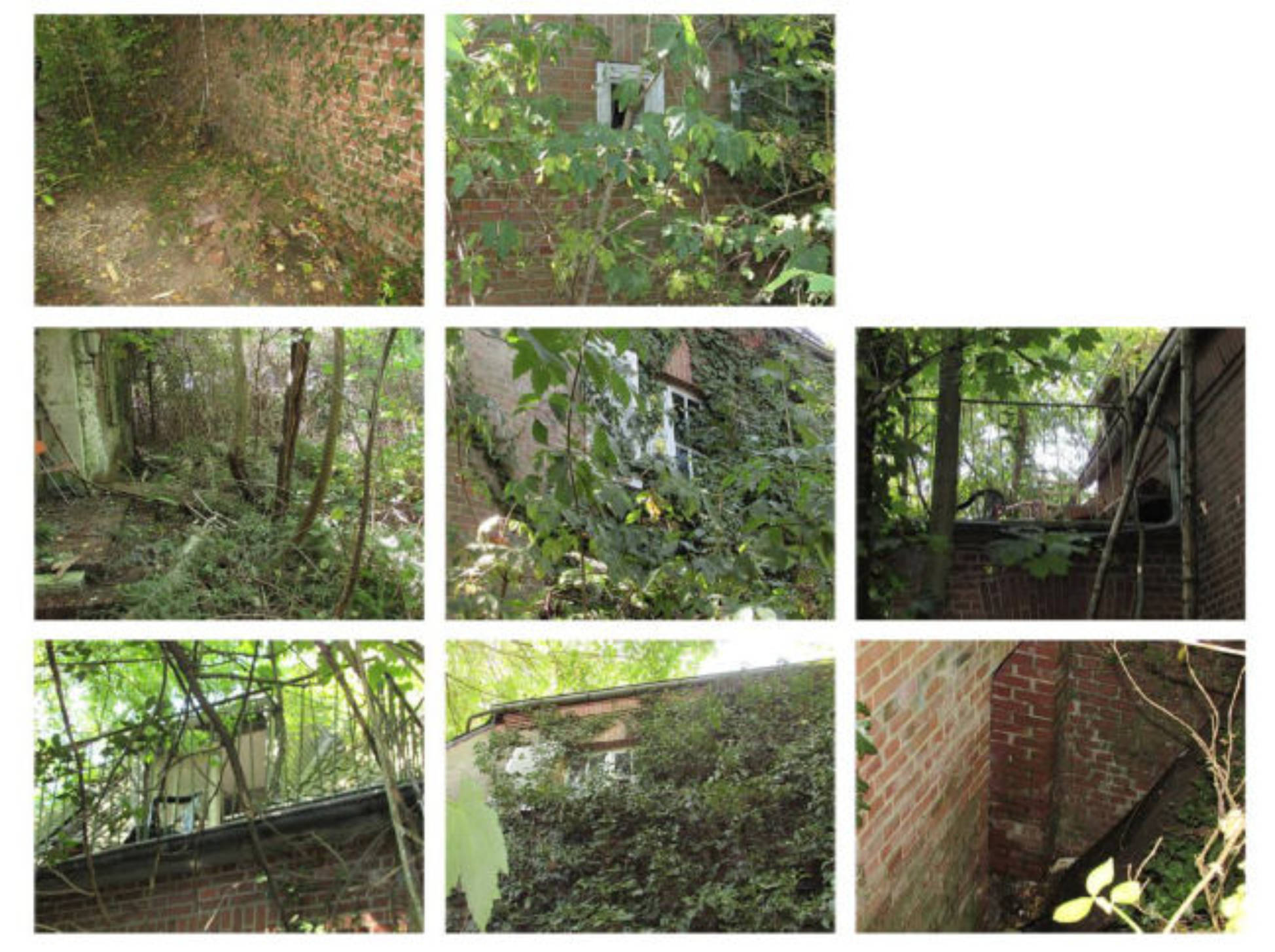 nordrheinwestpfalen 0027 K 0039/2022 Kirselstraße, 47589 Uedem, Uedem 11