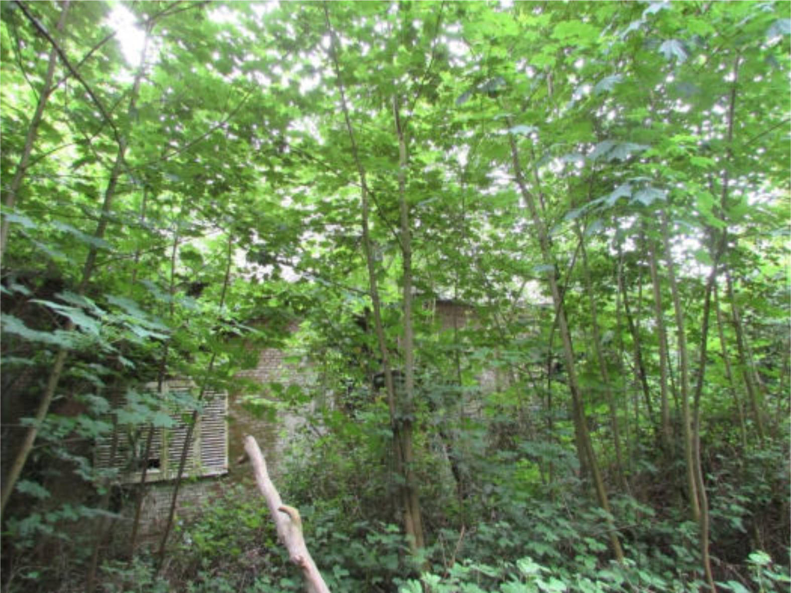 nordrheinwestpfalen 0027 K 0039/2022 Kirselstraße, 47589 Uedem, Uedem 7