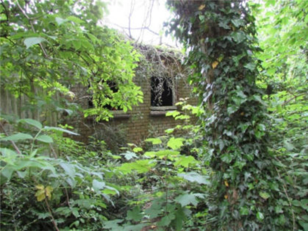 Einfamilienhaus in Kirselstraße, 47589 Uedem, Uedem - Bild 5