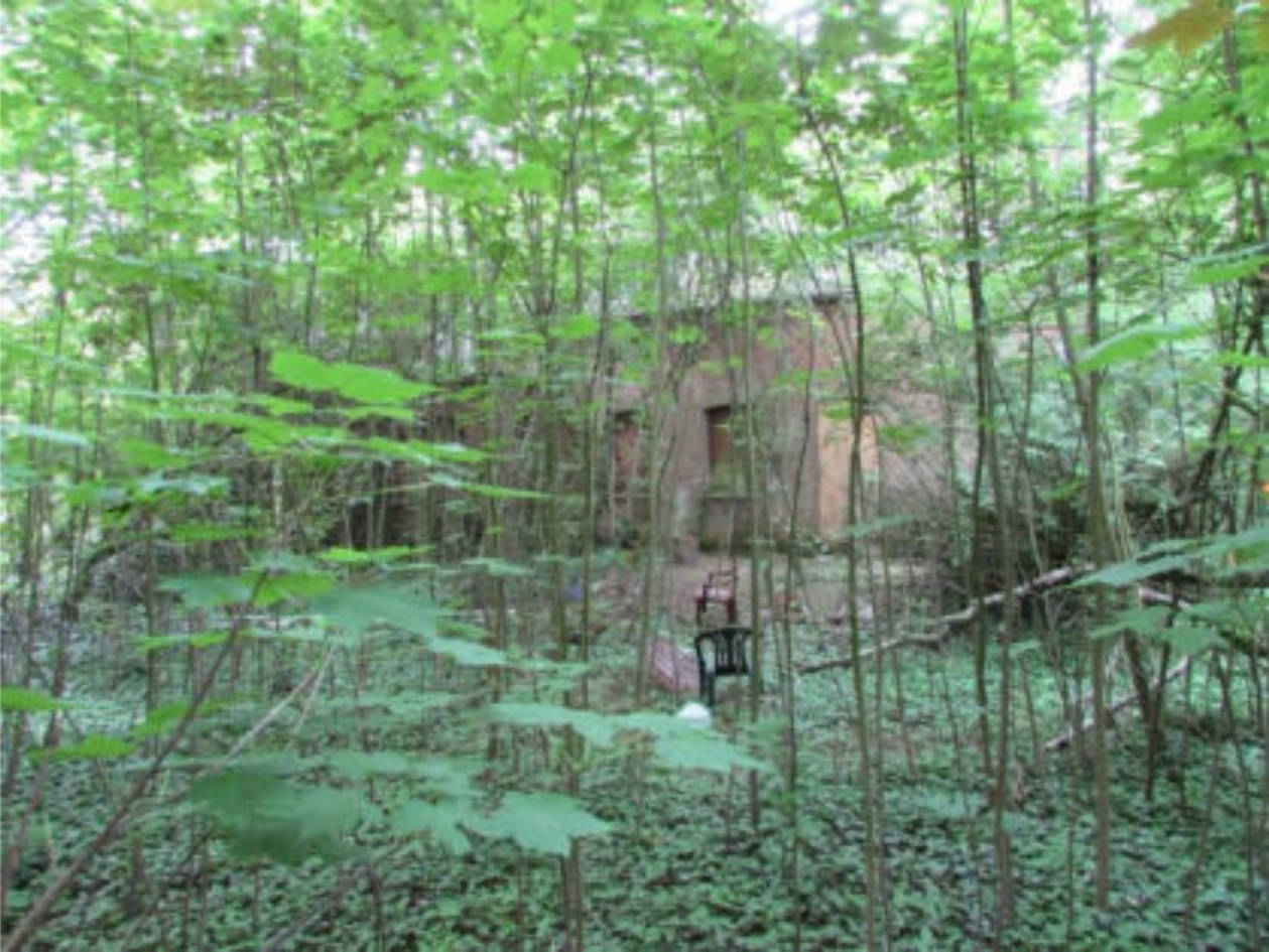 Einfamilienhaus in Kirselstraße, 47589 Uedem, Uedem - Bild 2