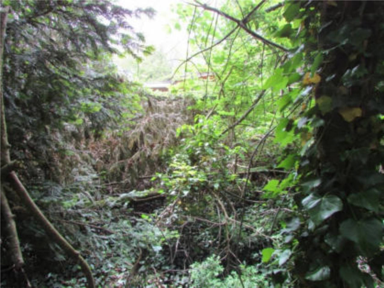 nordrheinwestpfalen 0027 K 0039/2022 Kirselstraße, 47589 Uedem, Uedem 23