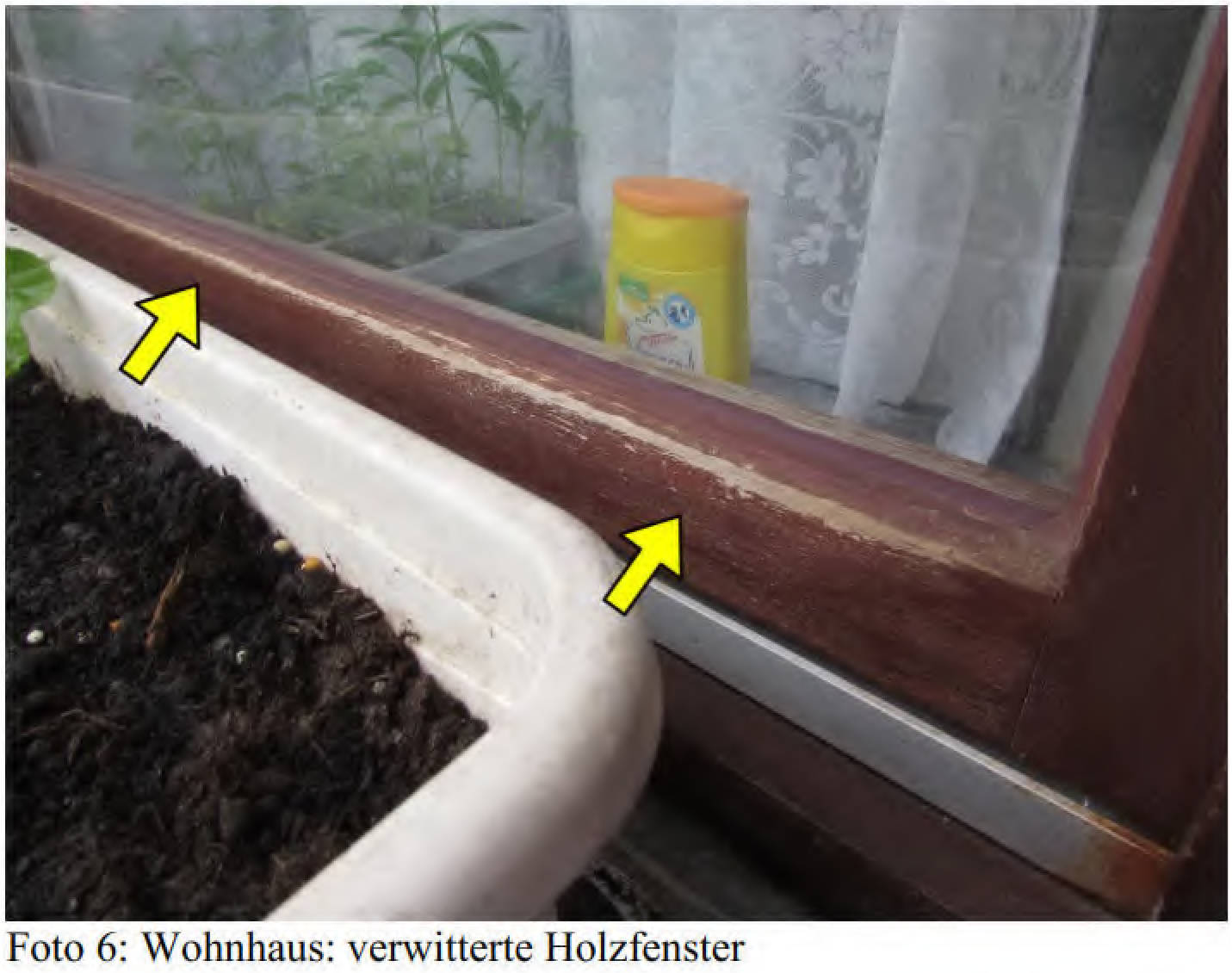 nordrheinwestpfalen 0031K0002-2024 Hohlweg 44, 50170 Kerpen, Buir