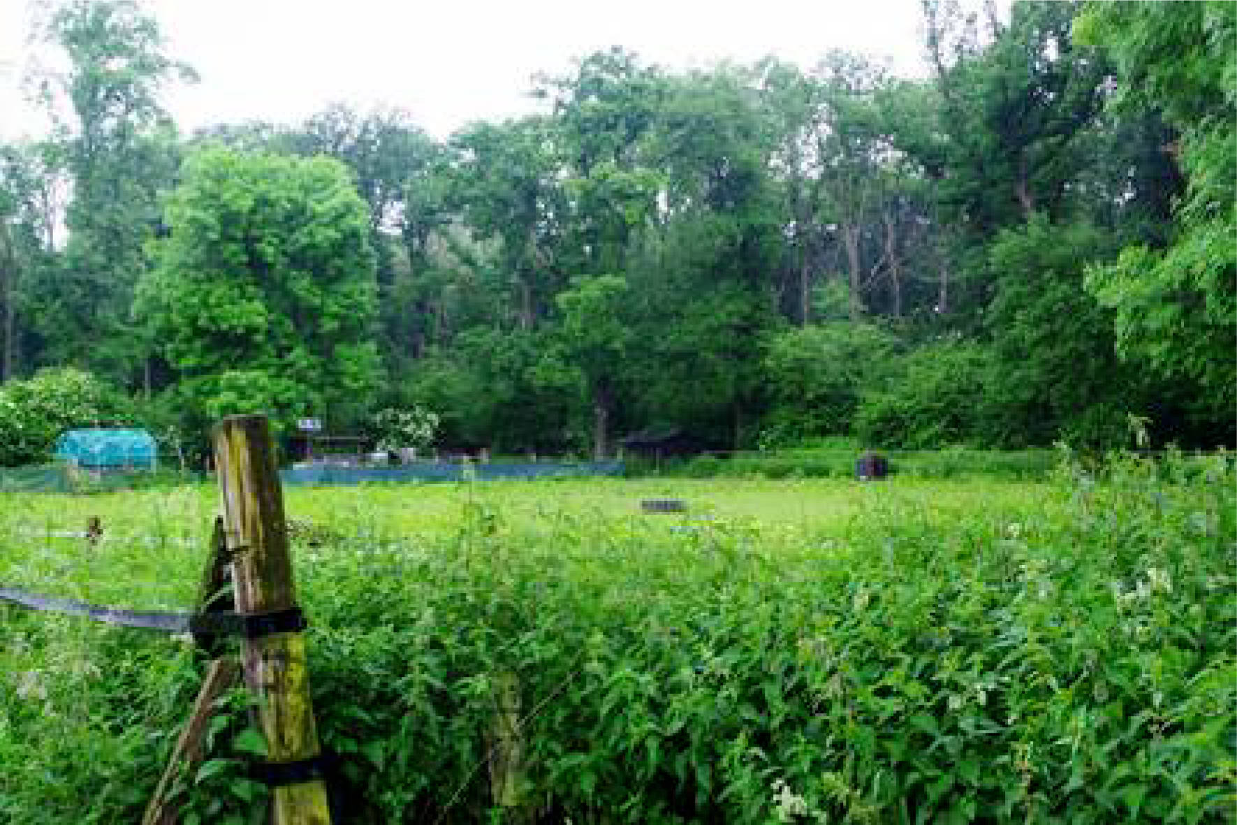 nordrheinwestpfalen 0031K0002-2024 An der Vogtsstraße, 41352 Korschenbroich, Pesch