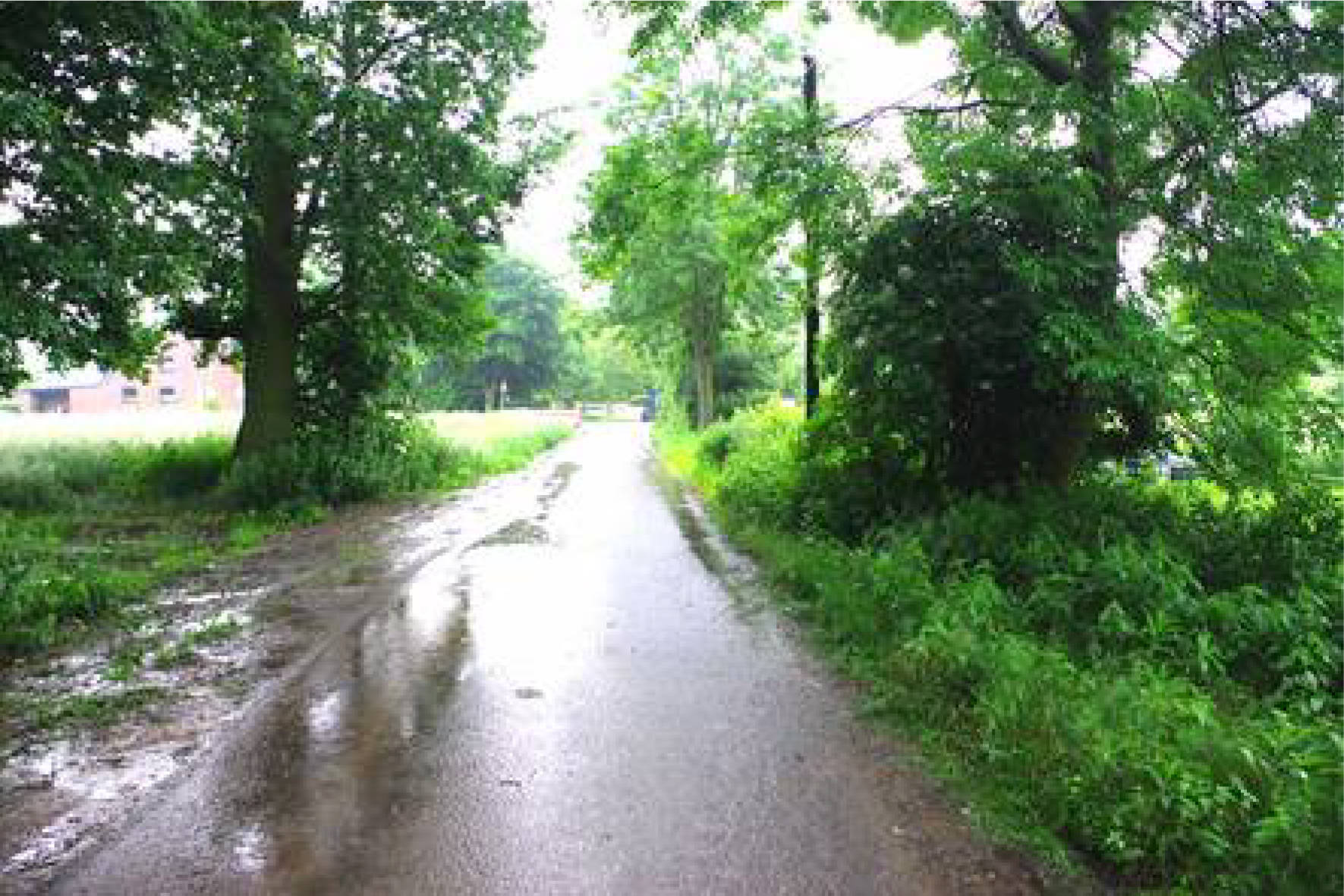 nordrheinwestpfalen 0031K0002-2024 An der Vogtsstraße, 41352 Korschenbroich, Pesch