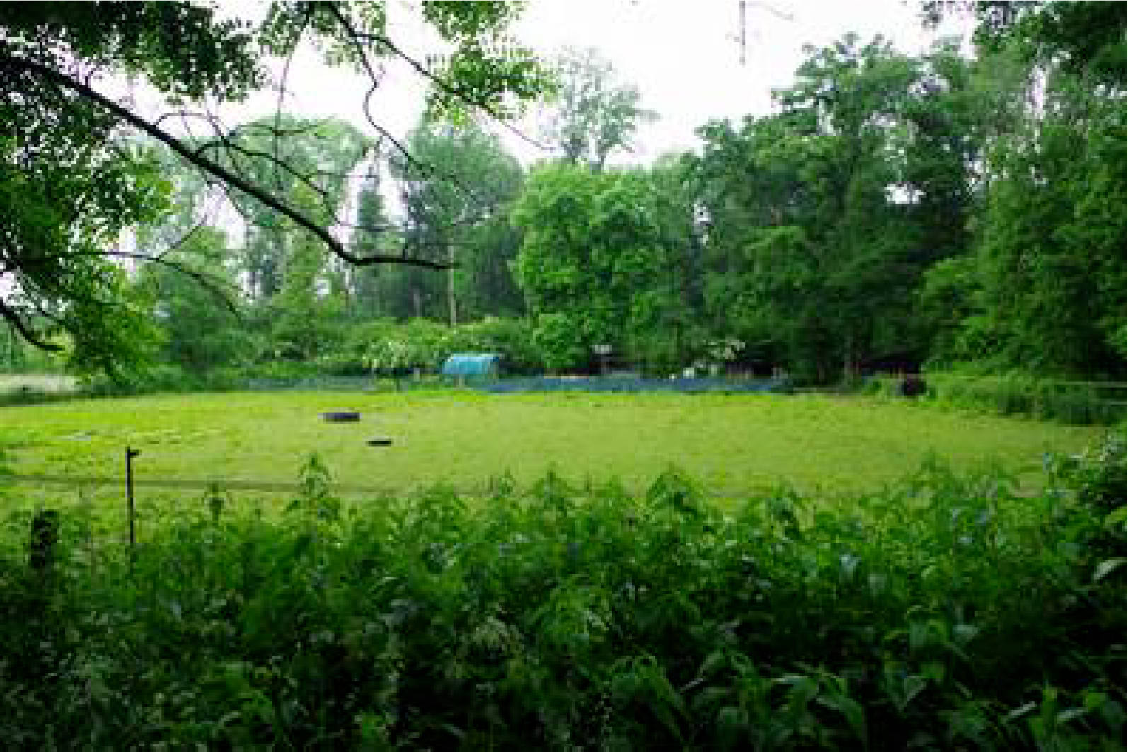 nordrheinwestpfalen 0031K0002-2024 An der Vogtsstraße, 41352 Korschenbroich, Pesch