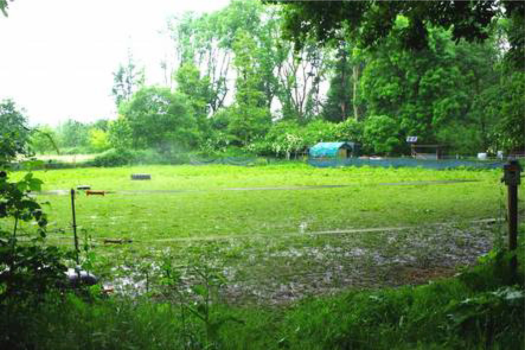nordrheinwestpfalen 0031K0002-2024 An der Vogtsstraße, 41352 Korschenbroich, Pesch
