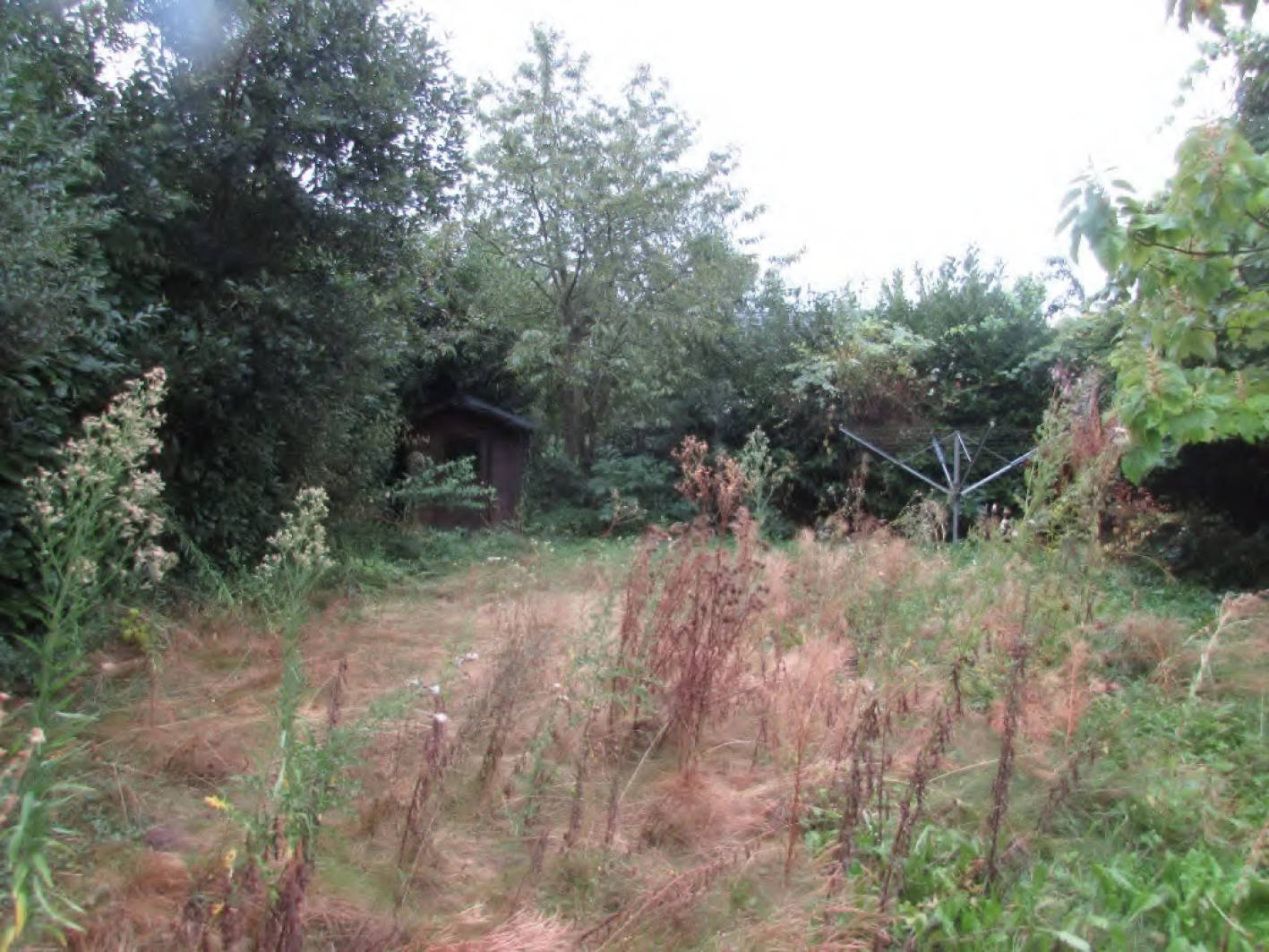 nordrheinwestpfalen 0031K0023-2024 Finkenweg 6, 50169 Kerpen, Türnich