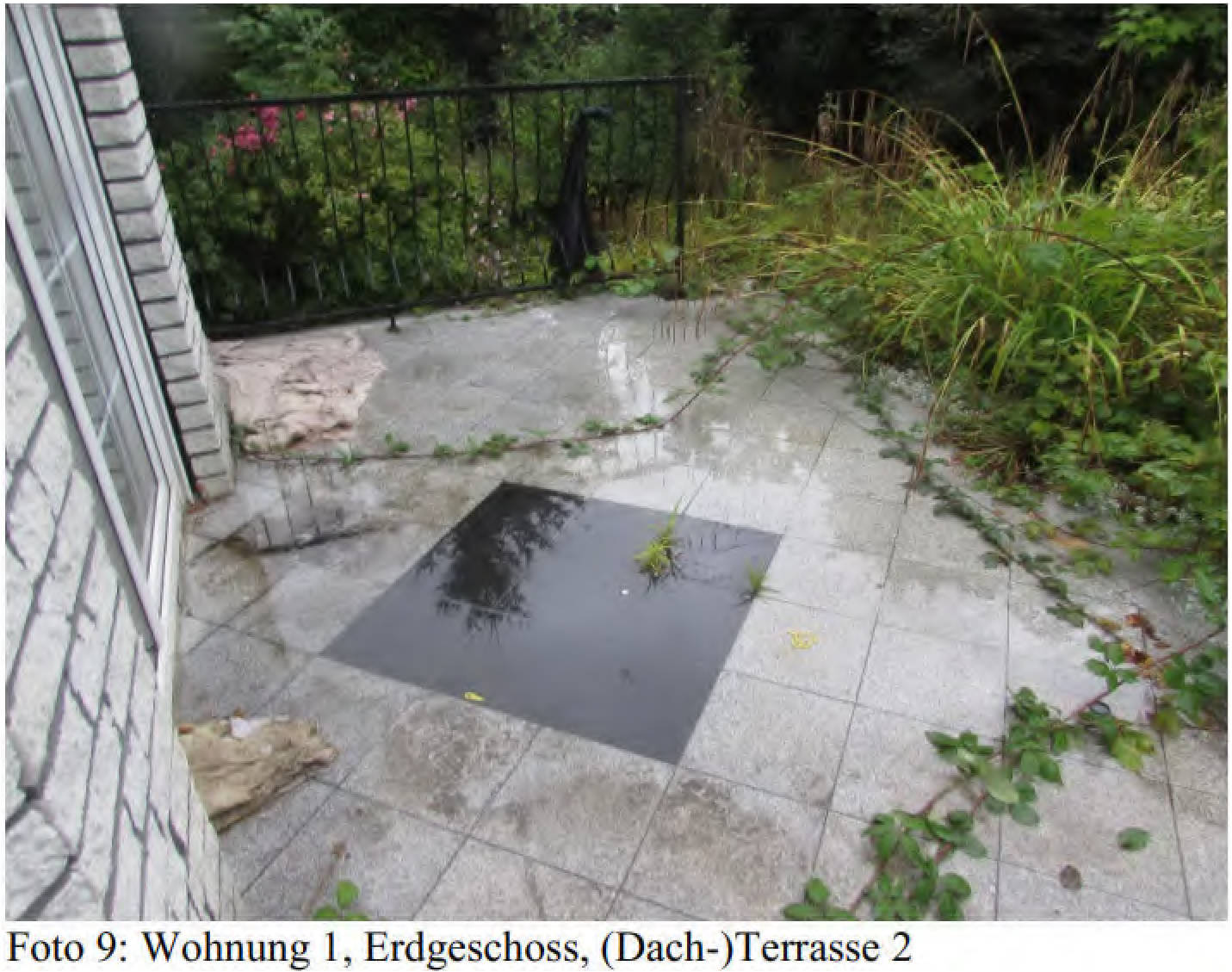 nordrheinwestpfalen 0031K0023-2024 Finkenweg 6, 50169 Kerpen, Türnich