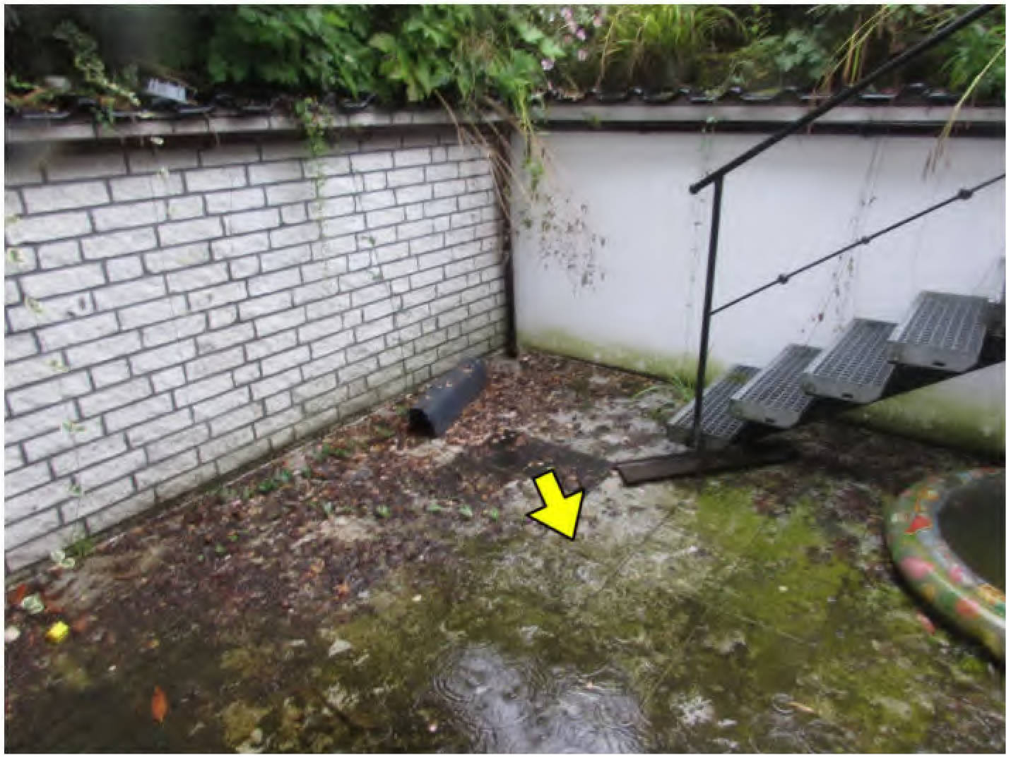 nordrheinwestpfalen 0031K0023-2024 Finkenweg 6, 50169 Kerpen, Türnich
