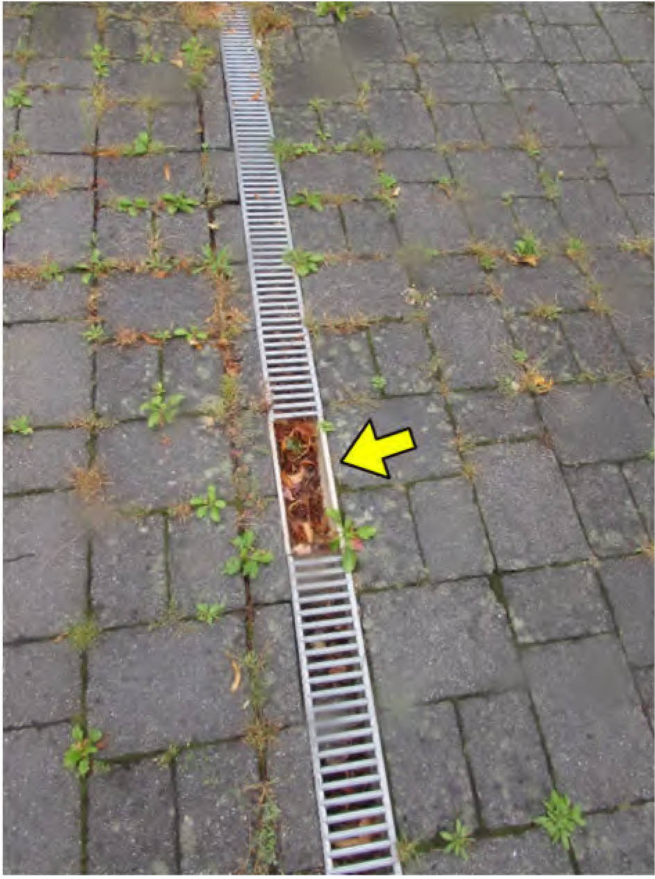 nordrheinwestpfalen 0031K0023-2024 Finkenweg 6, 50169 Kerpen, Türnich
