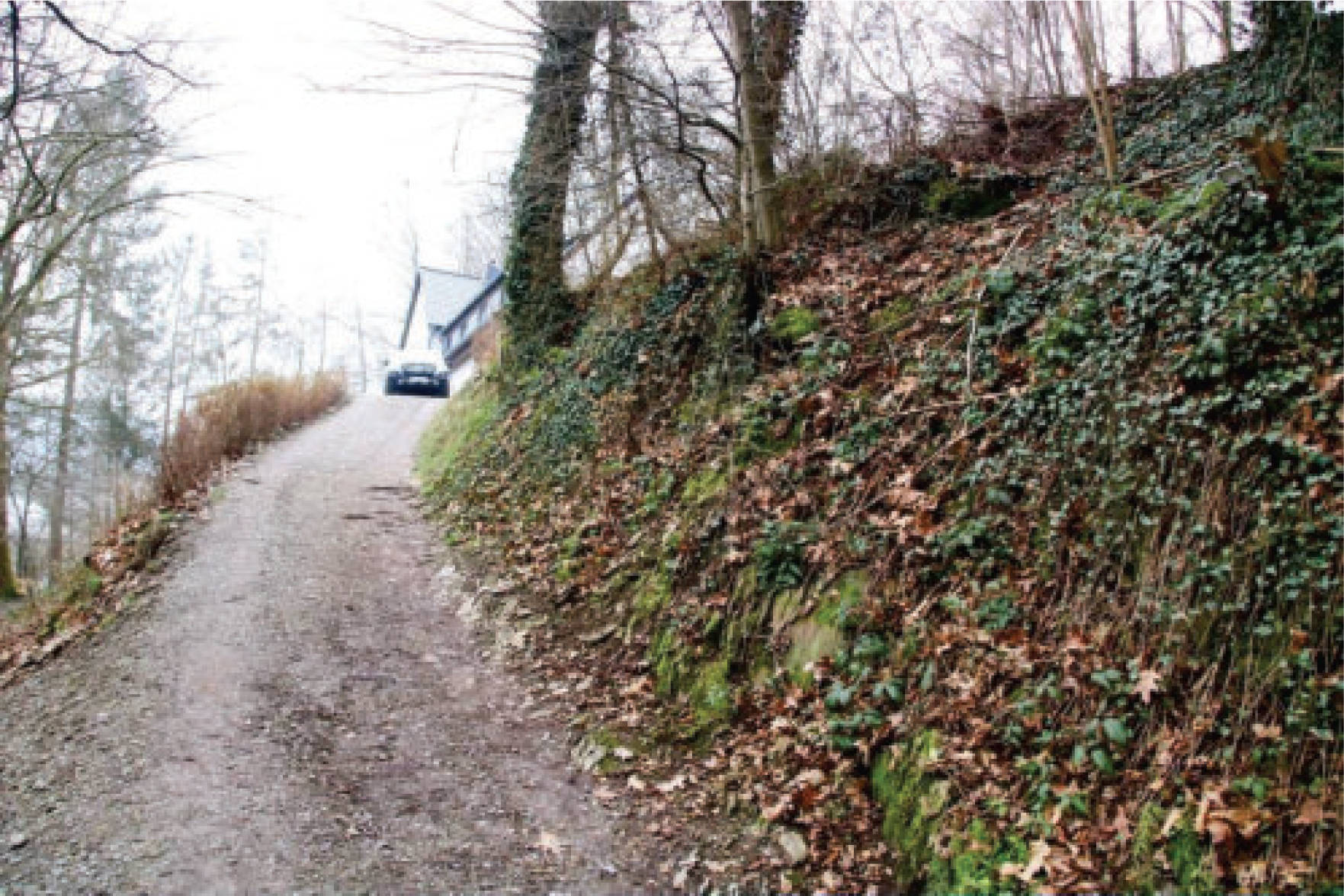 unbebautes Grundstück in Roland Volme, 58091 Hagen, Dahl