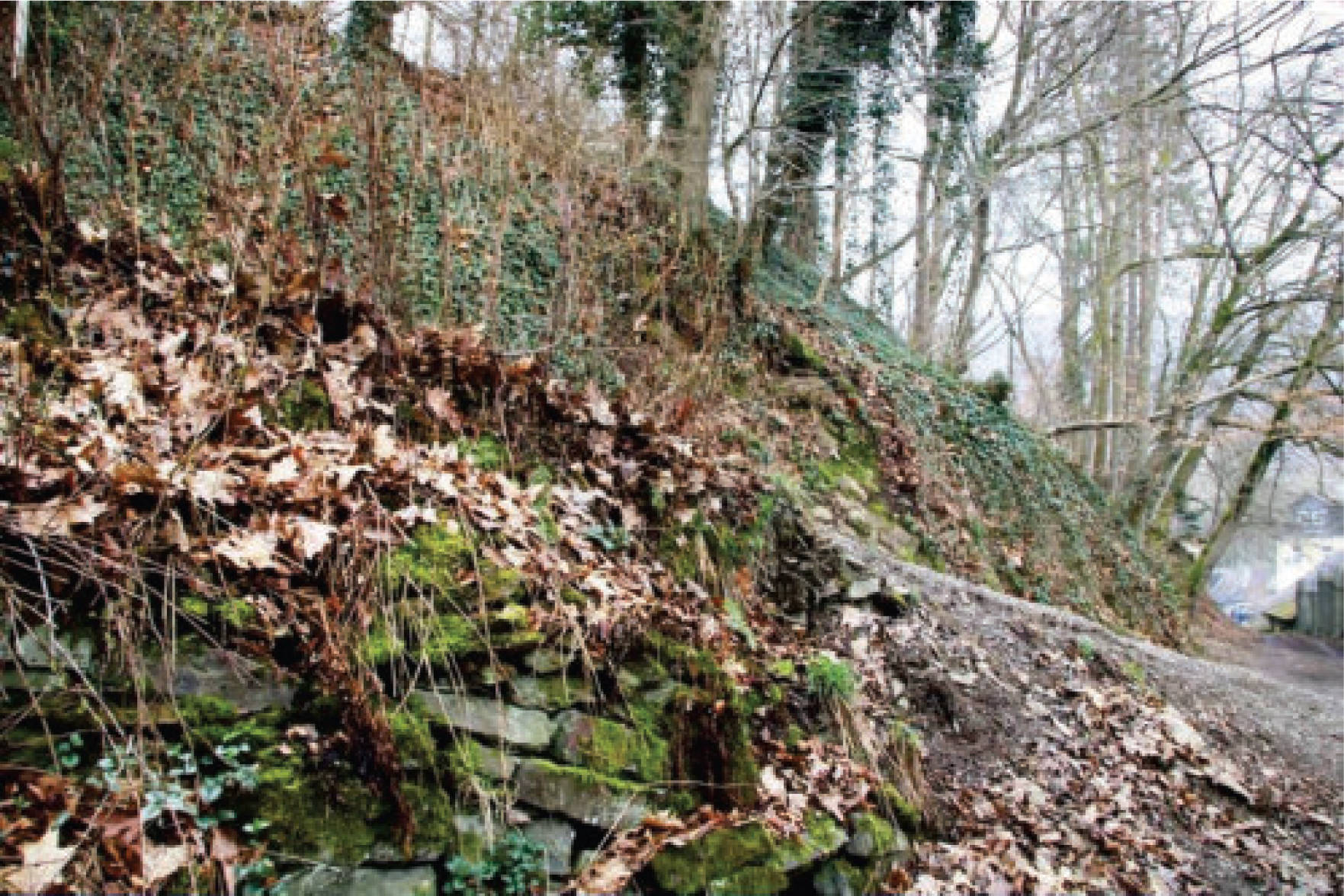 unbebautes Grundstück in Roland Volme, 58091 Hagen, Dahl - Bild 5