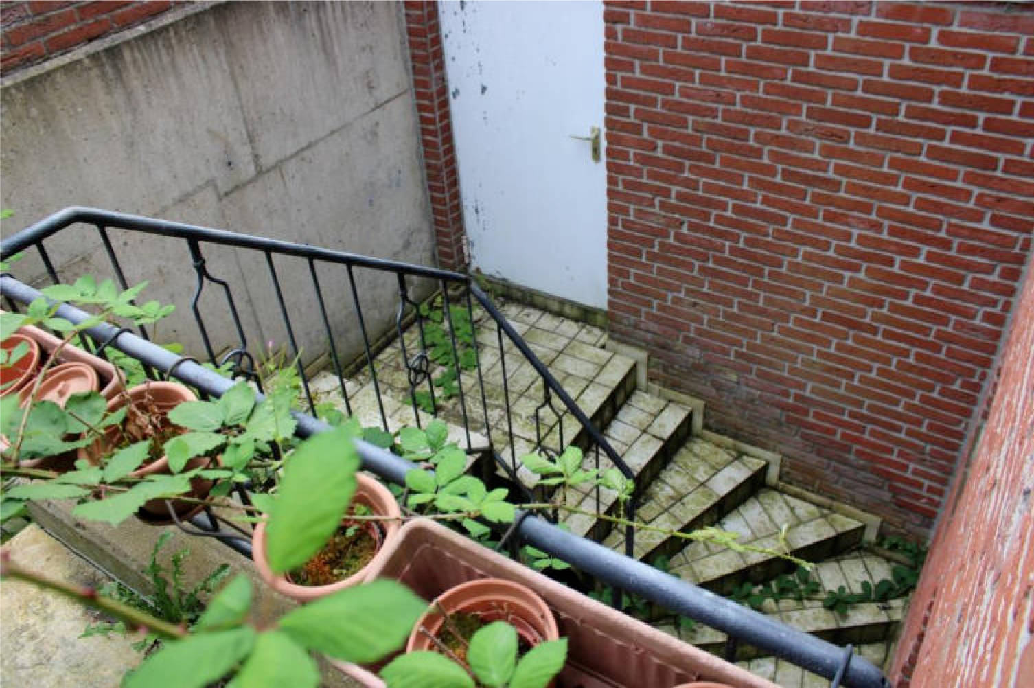 nordrheinwestpfalen 0031 K 0051/2025 Sollingweg 8, 58093 Hagen 9