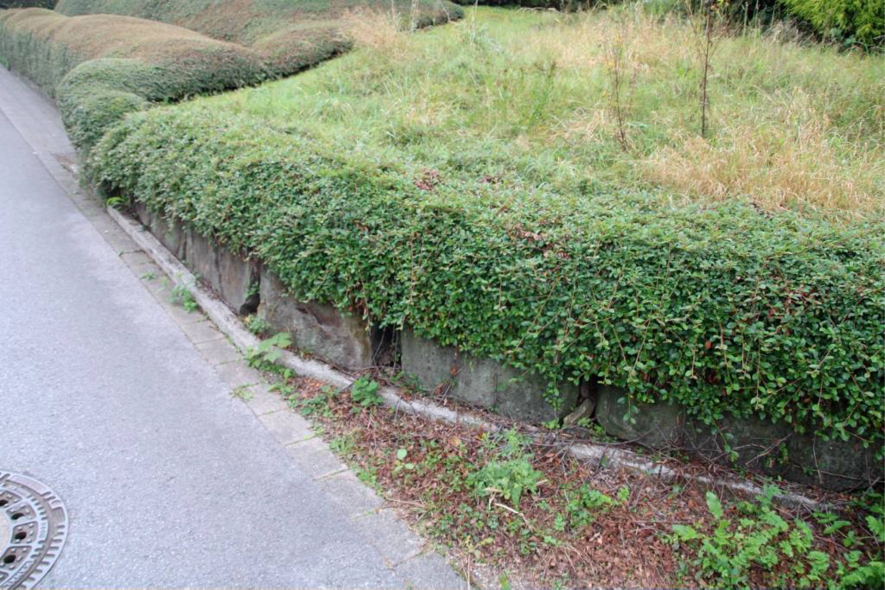 nordrheinwestpfalen 0031 K 0064/2024 An der Wallburg 11, 58091 Hagen 10