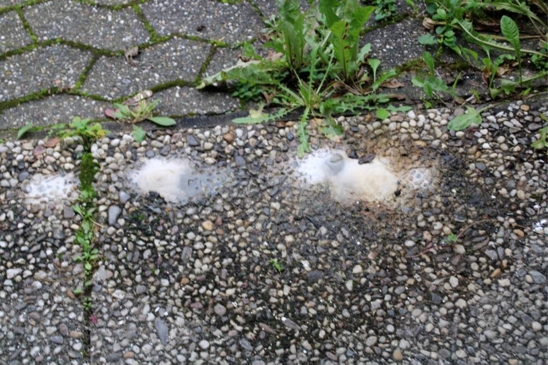 nordrheinwestpfalen 0031 K 0064/2024 An der Wallburg 11, 58091 Hagen 12