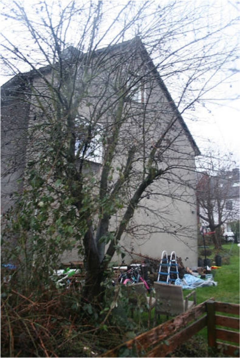 nordrheinwestpfalen 0031K0072-2022 Espenweg, Espenweg 22, 58089 Hagen