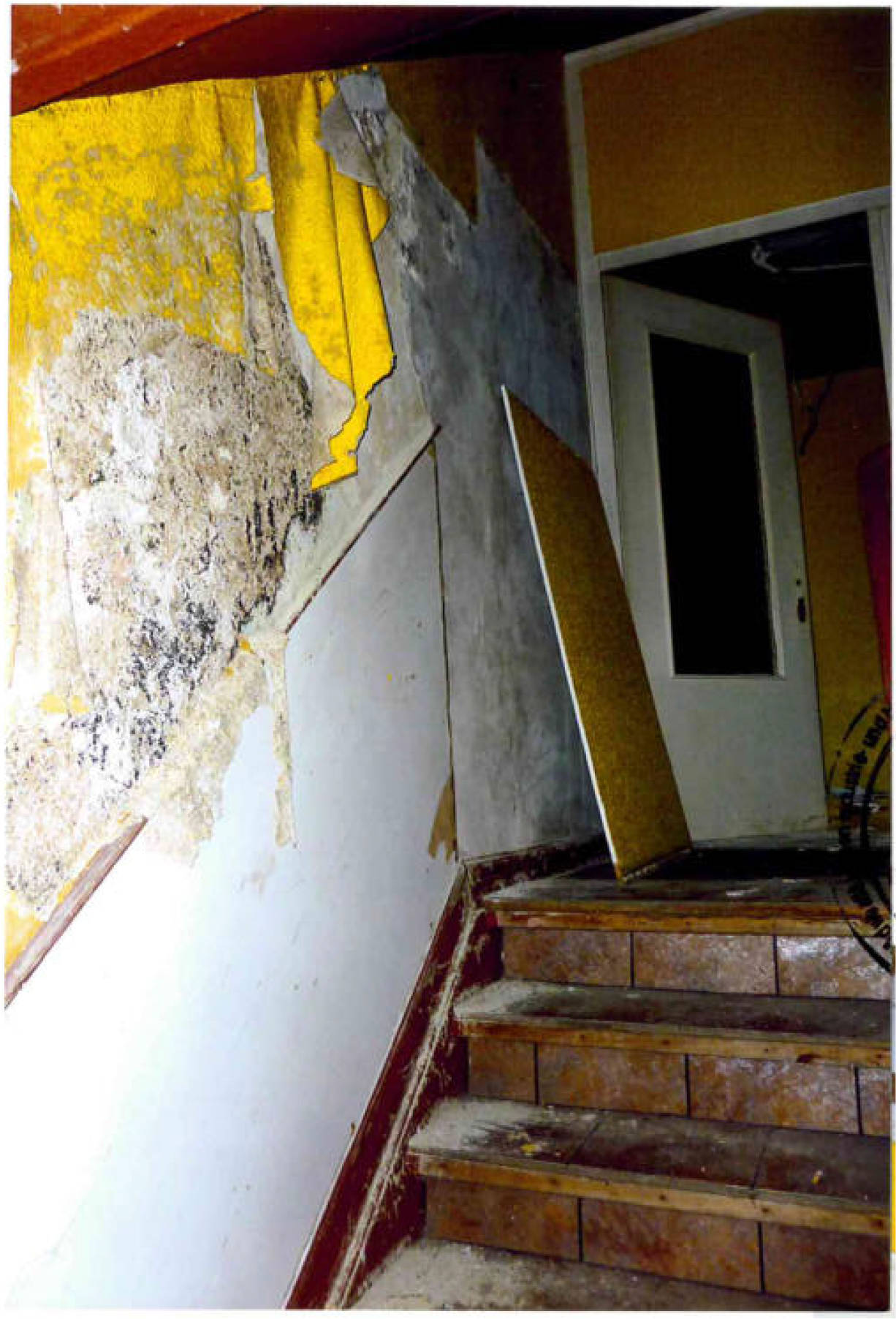 nordrheinwestpfalen 0031 P K 0002/2023 Altenaer Straße 37, 58675 Hemer 12