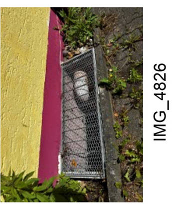 nordrheinwestpfalen 0031 P K 0033/2024 Dröscheder Berg 4, 58638 Iserlohn 24