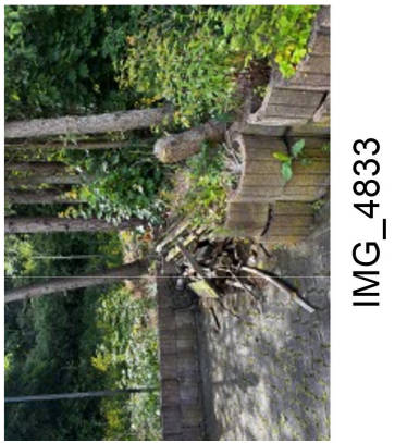 nordrheinwestpfalen 0031 P K 0033/2024 Dröscheder Berg 4, 58638 Iserlohn 25