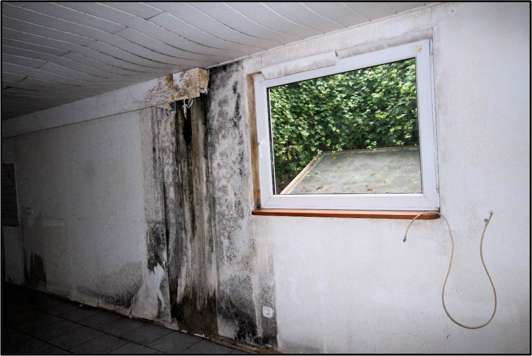 nordrheinwestpfalen 0032K0008-2024 Ecksteins Hof 55, 45721 Haltern am See, Hamm-Bossendorf