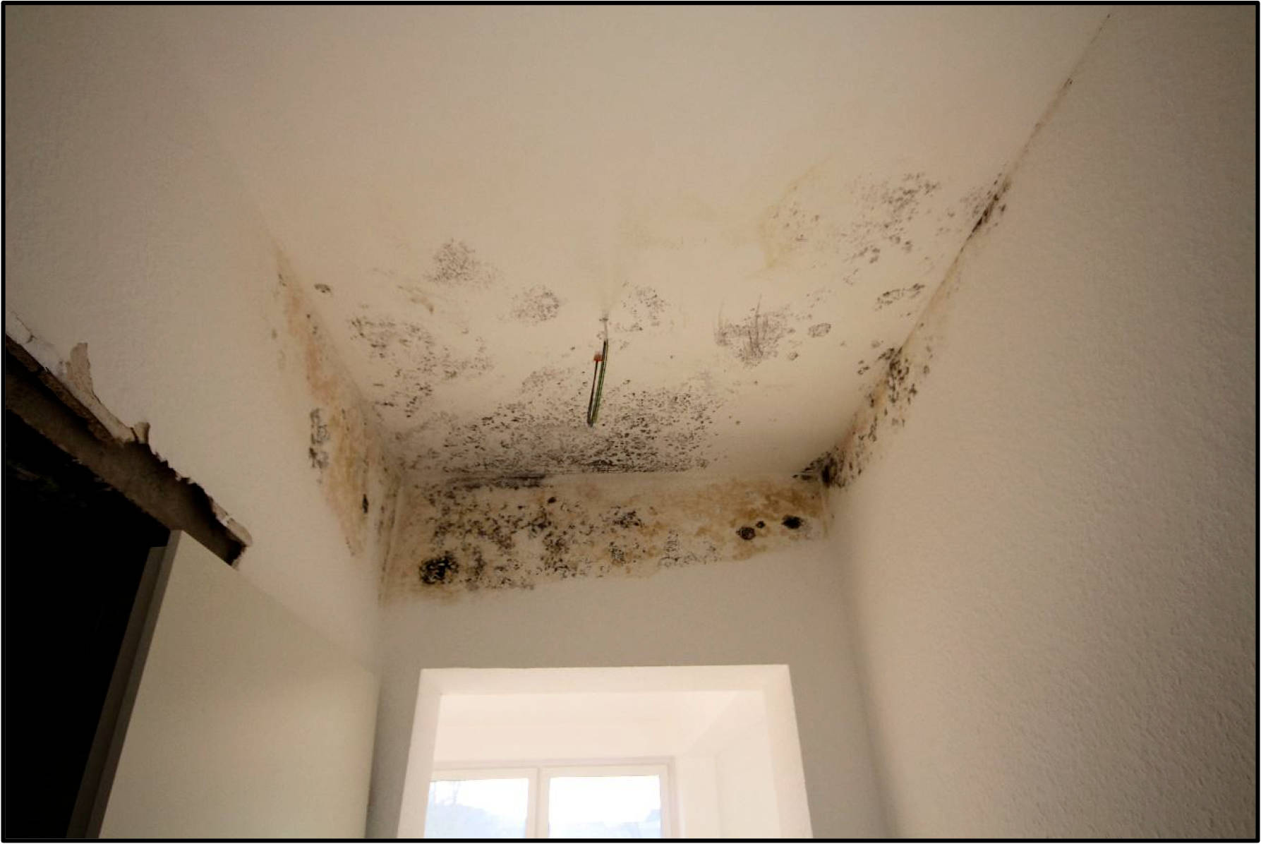 nordrheinwestpfalen 0032 K 0037/2024 Bergstraße 29, 45770 Marl, Hüls-Süd 16