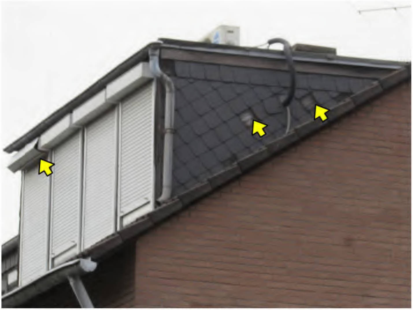 nordrheinwestpfalen 0032 K 0049/2024 Brandenburger Straße 29, 50129 Bergheim, Niederaußem 5