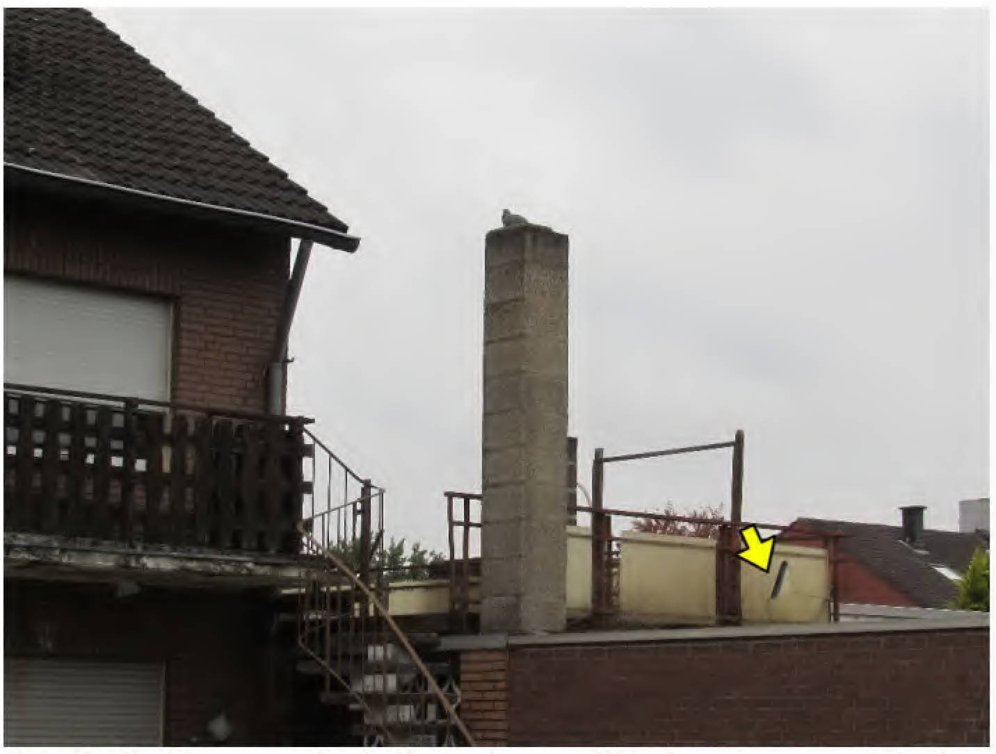nordrheinwestpfalen 0032 K 0049/2024 Brandenburger Straße 29, 50129 Bergheim, Niederaußem 9