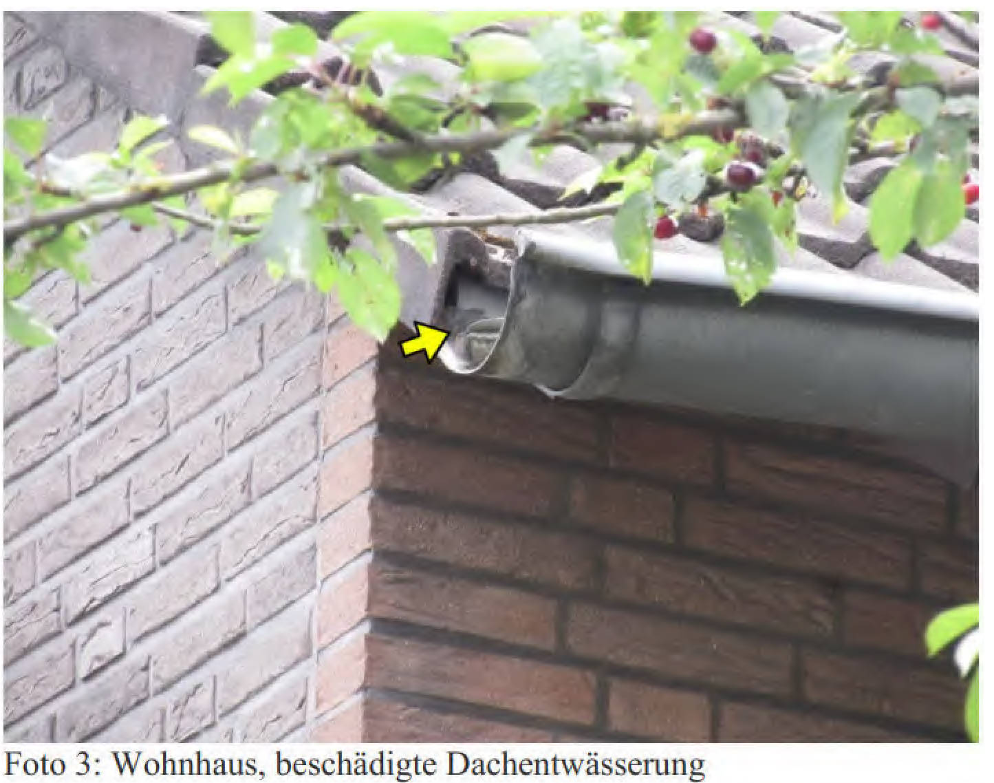 nordrheinwestpfalen 0032 K 0049/2024 Brandenburger Straße 29, 50129 Bergheim, Niederaußem 7