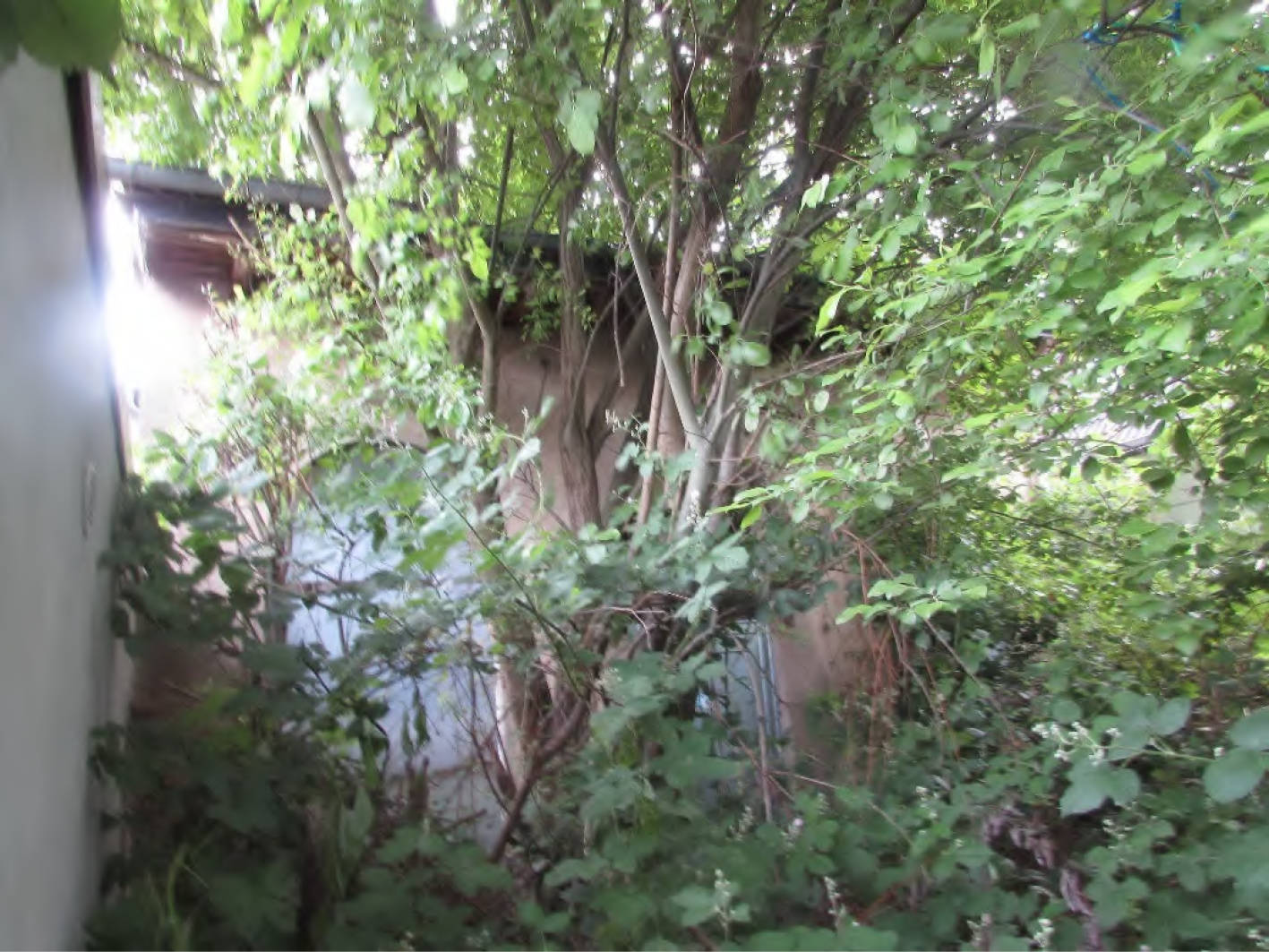 Eigentumswohnung (3 bis 4 Zimmer) in Holzgasse 6a, 50126 Bergheim, Paffendorf - Bild 2
