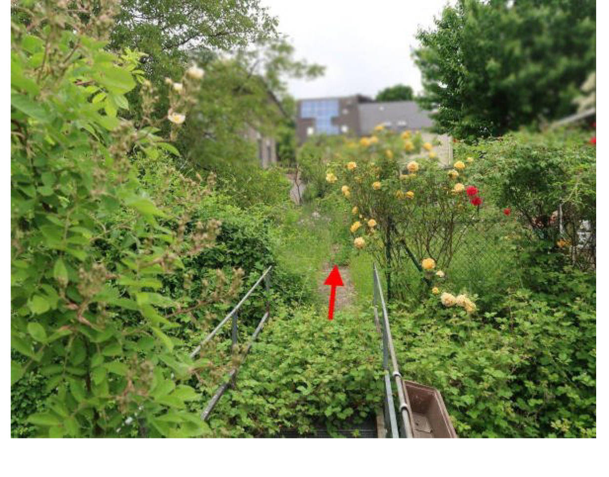 unbebautes Grundstück in Hirkenweg, 52379 Langerwehe, Langerwehe - Bild 5