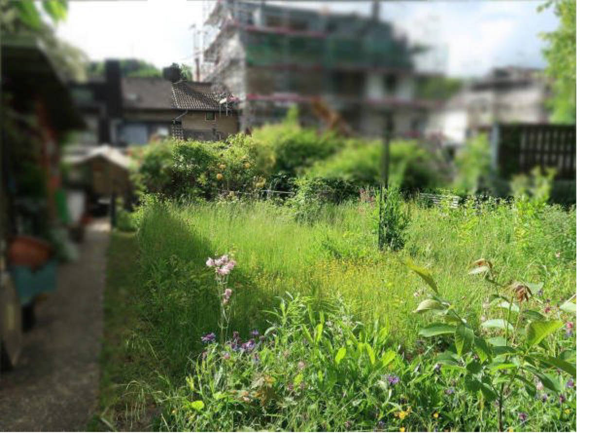 nordrheinwestpfalen 0033 K 0019/2025 Hirkenweg, 52379 Langerwehe, Langerwehe 6