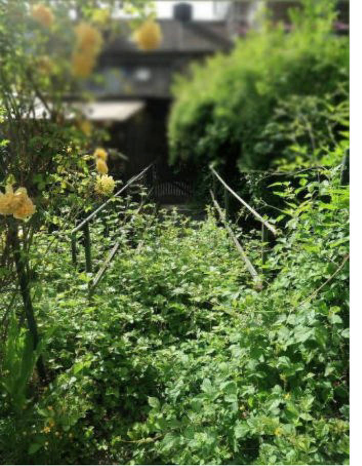 unbebautes Grundstück in Hirkenweg, 52379 Langerwehe, Langerwehe - Bild 3