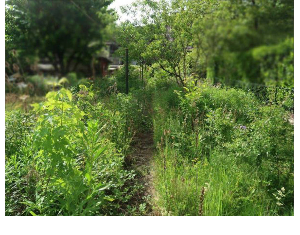 nordrheinwestpfalen 0033 K 0019/2025 Hirkenweg, 52379 Langerwehe, Langerwehe 8