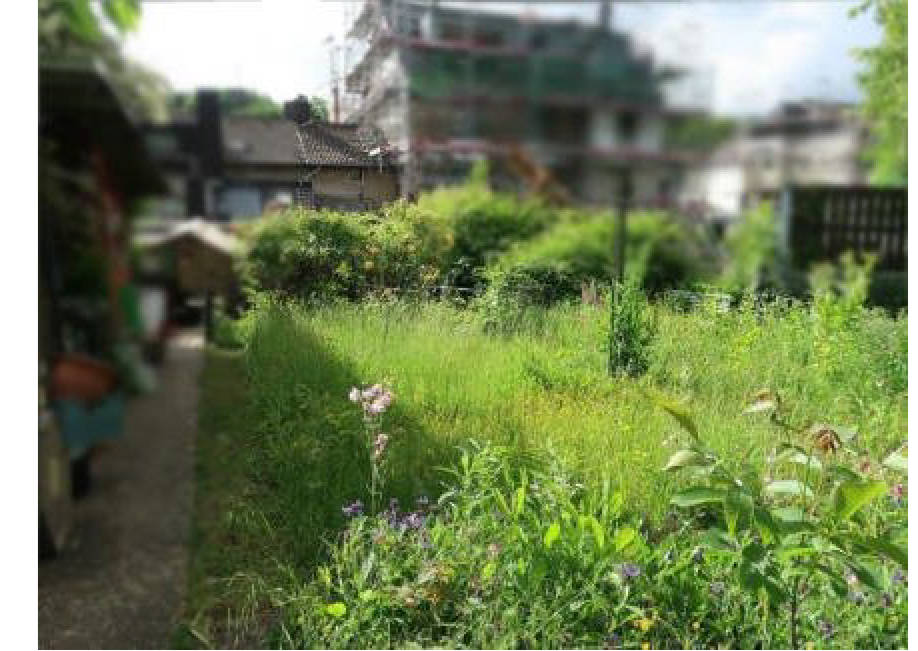 unbebautes Grundstück in Hirkenweg, 52379 Langerwehe, Langerwehe