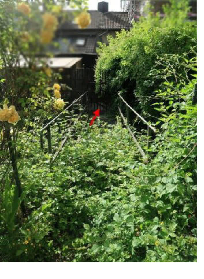 Reihenhaus, Einfamilienhaus in Schönthaler Straße 48, 52379 Langerwehe, Langerwehe - Bild 5