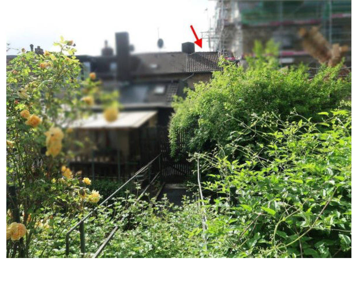 Reihenhaus, Einfamilienhaus in Schönthaler Straße 48, 52379 Langerwehe, Langerwehe - Bild 3