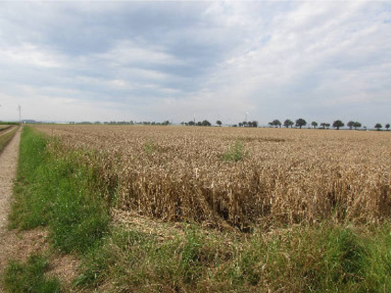 nordrheinwestpfalen 0033K0034-2023 Erper Weg , 52388 Nörvenich, Pingsheim