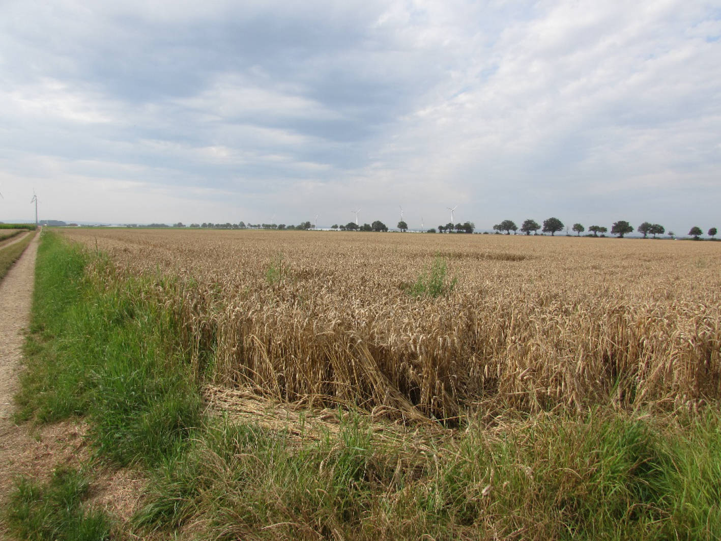 nordrheinwestpfalen 0033K0034-2023 Erper Weg , 52388 Nörvenich, Pingsheim