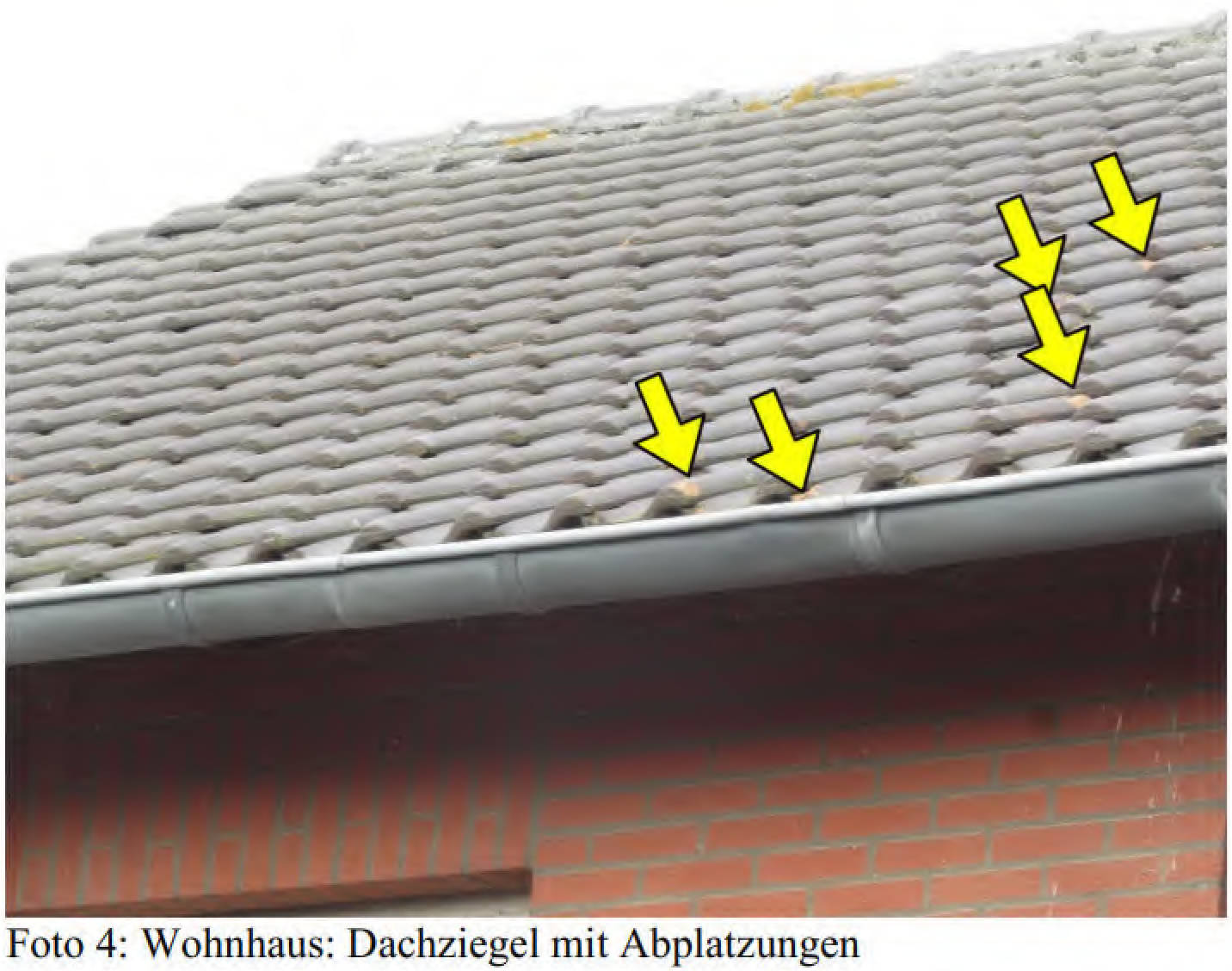 nordrheinwestpfalen 0033K0039-2023 Alfons-Keever-Straße 42, 52388 Nörvenich, Pingsheim 7