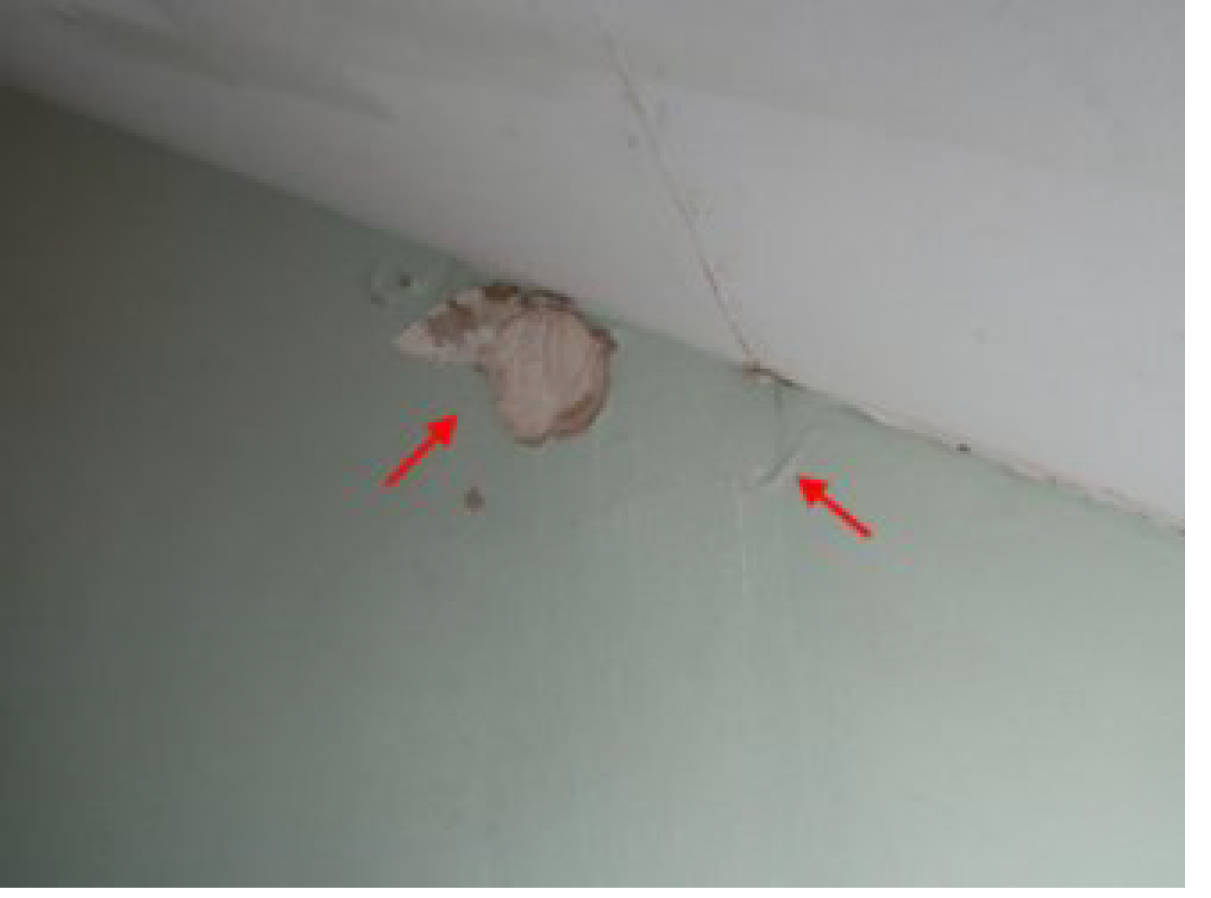 nordrheinwestpfalen 0033 K 0050/2024 Rurstraße 41,43, 52349 Düren, Düren 9