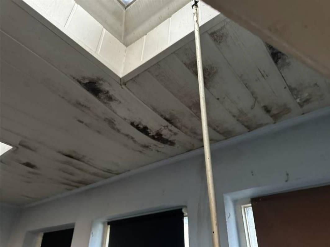 Eigentumswohnung (1 bis 2 Zimmer) in Stockberg 23, 52393 Hürtgenwald, Vossenack - Bild 5