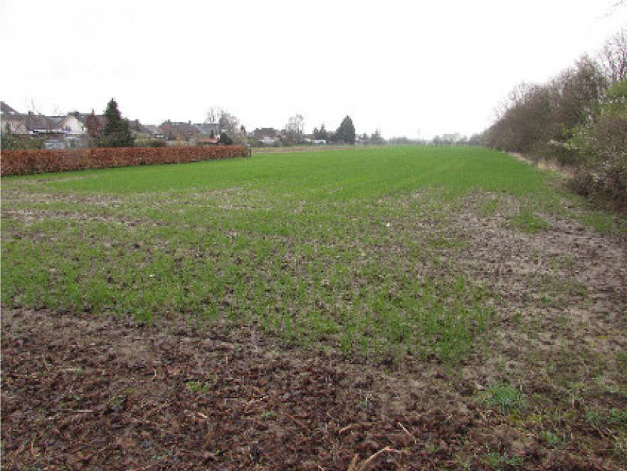 land- und forstwirtschaftlich genutztes Grundstück in An der Erkensgasse, 52353 Düren, Echtz-Konzendorf - Bild 2