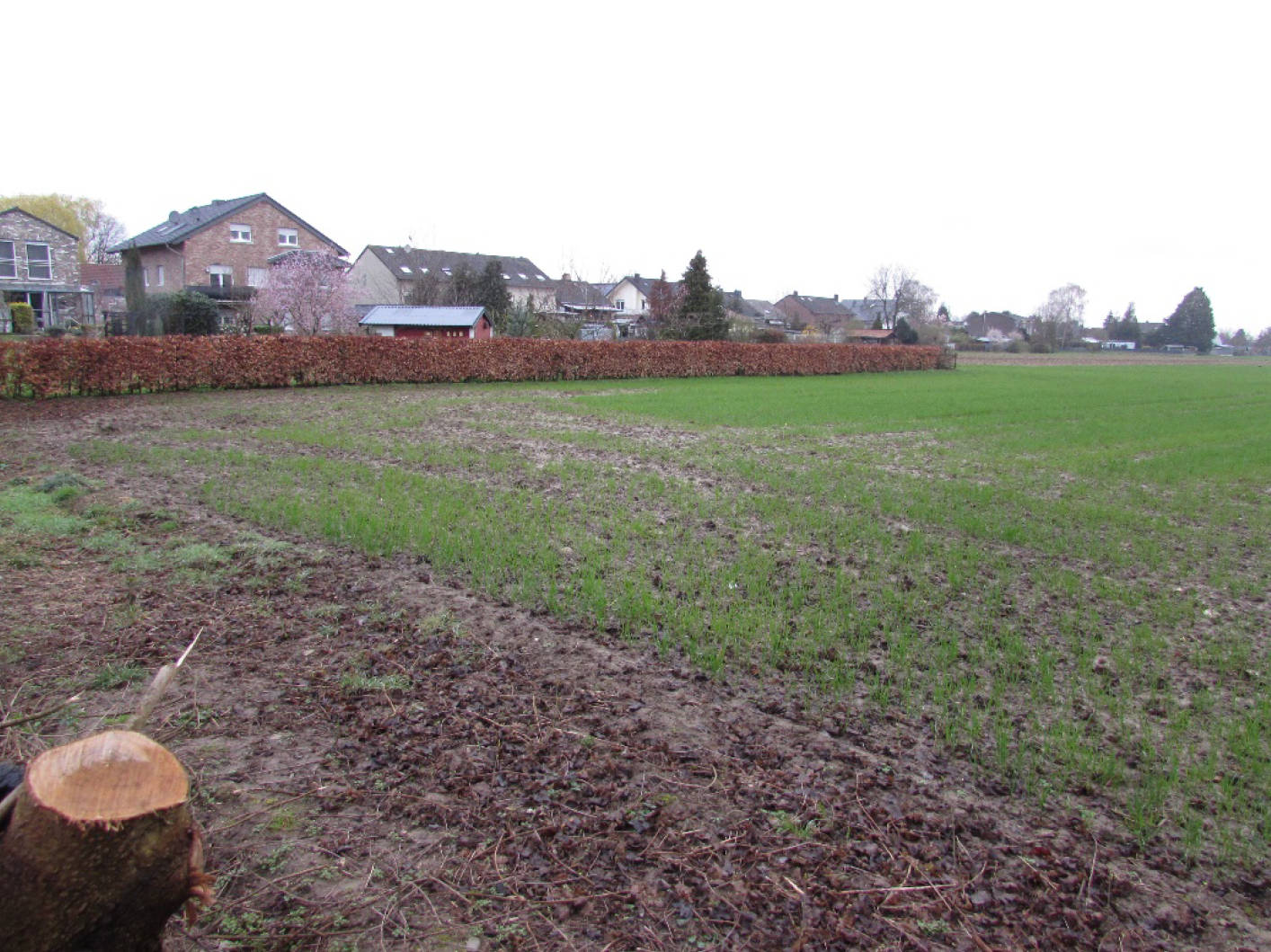 land- und forstwirtschaftlich genutztes Grundstück in An der Erkensgasse, 52353 Düren, Echtz-Konzendorf