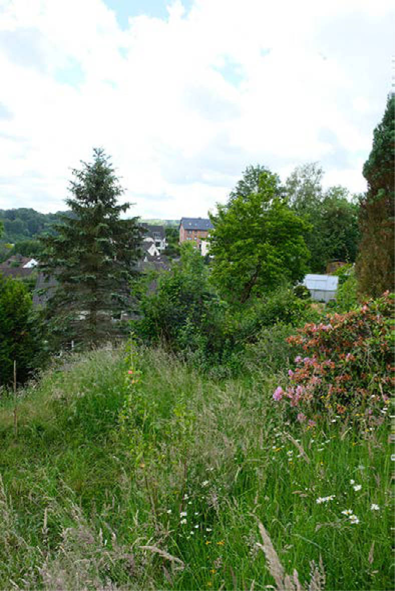 Zweifamilienhaus, Doppelgarage, zwei Kfz-Stellplätze in Am Steinberg 10, 51519 Odenthal, Osenau - Bild 2