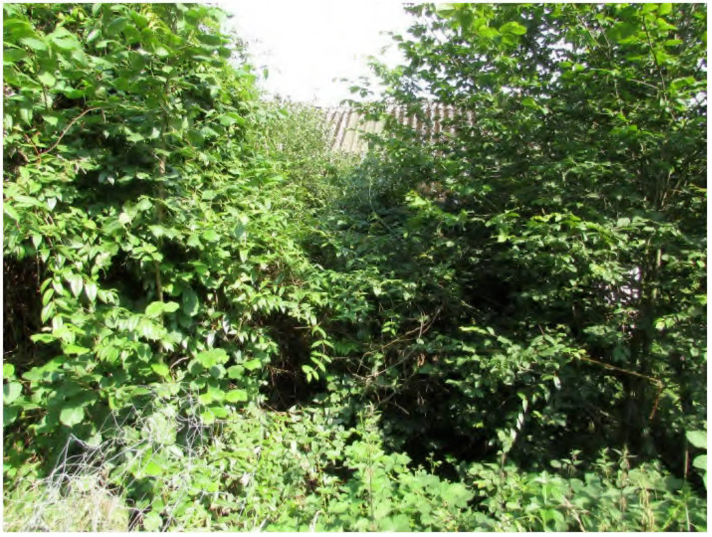 nordrheinwestpfalen 0034 K 0005/2024 Klefhaus 10, 51491 Overath, Brombach 28