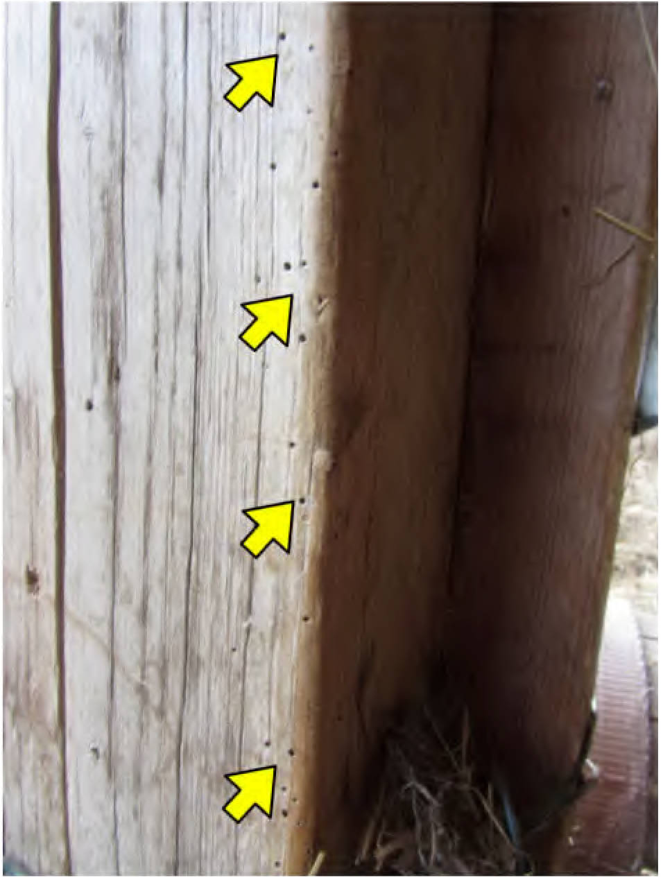 nordrheinwestpfalen 0034 K 0005/2024 Klefhaus 10, 51491 Overath, Brombach 24