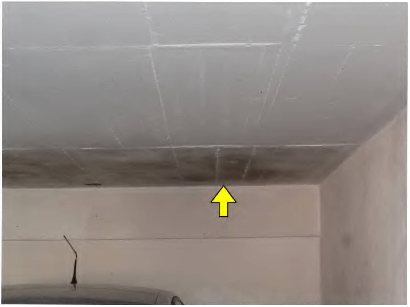 nordrheinwestpfalen 0034 K 0145/2024 Handstraße 64, 51469 Bergisch Gladbach, Hand 16
